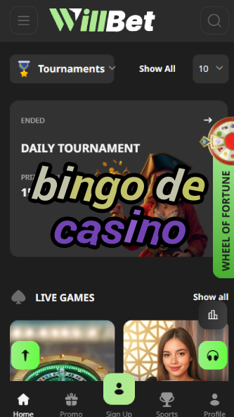 Bingo De Casino - French Bingo Experience-www.bdqngd.com