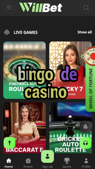 Bingo De Casino - French Bingo Experience-www.bdqngd.com