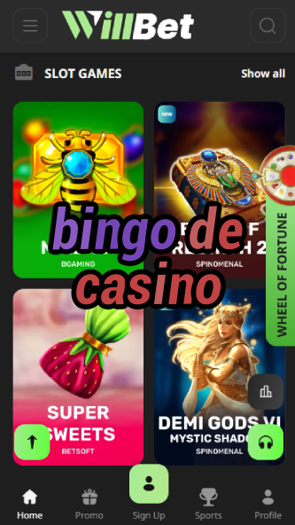 Bingo De Casino - French Bingo Experience-www.bdqngd.com